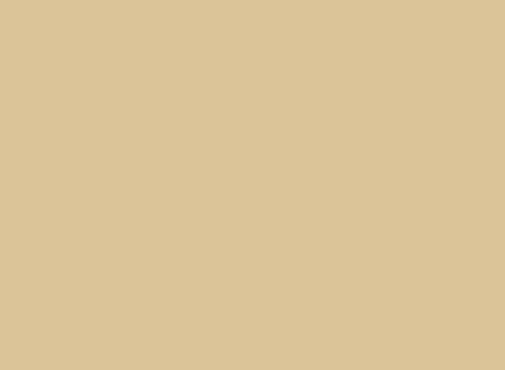 A tan background with a frp plane flying over it.
